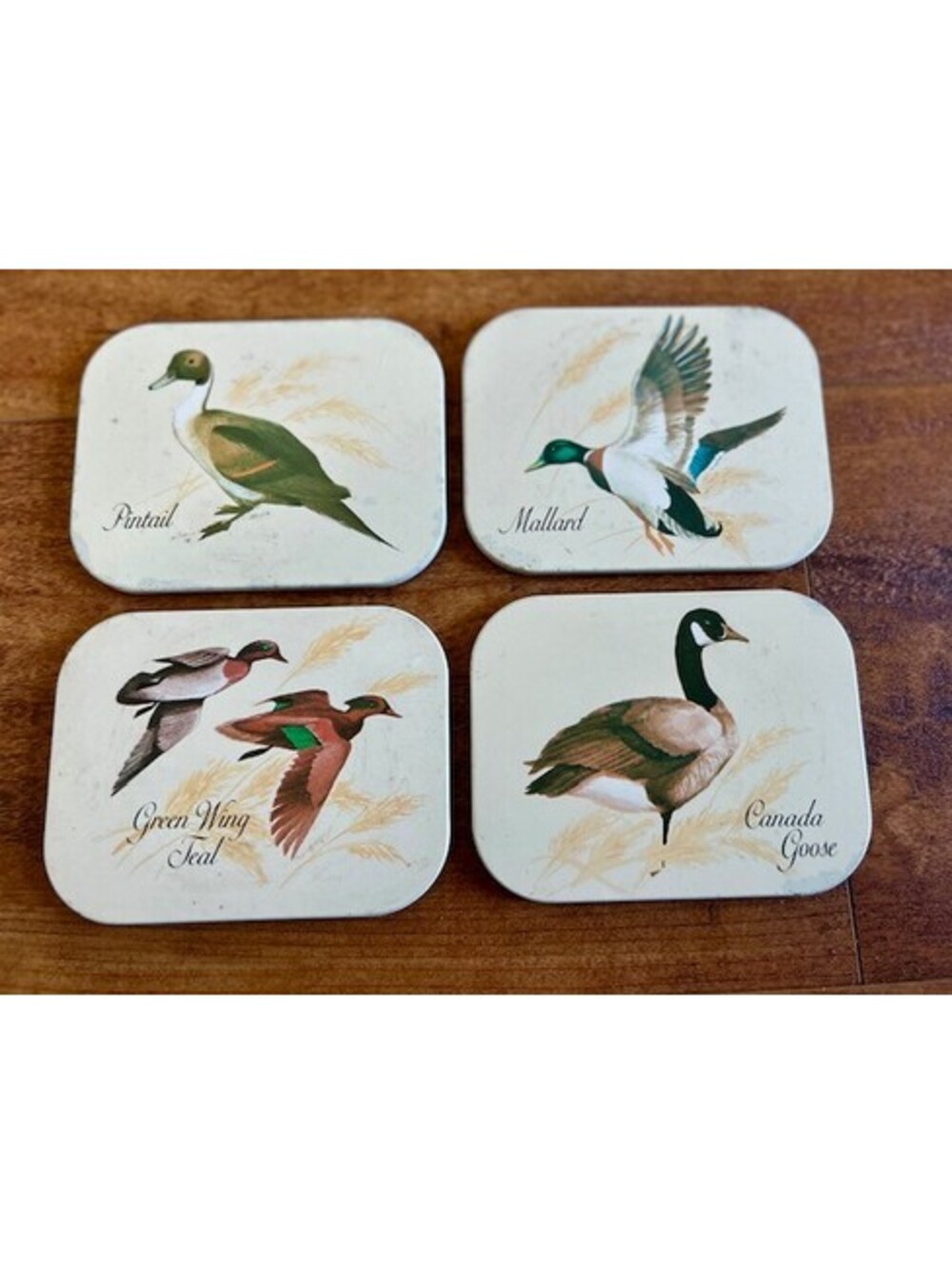 Set of 4 Vintage Bird Coasters with Duck and Goose Illustrations